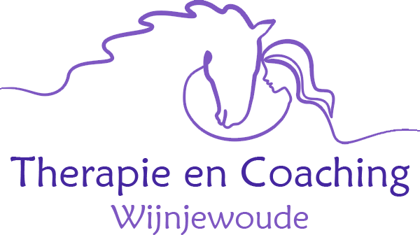 Therapie en Coaching Wijnjewoude